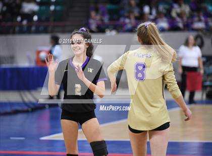 Thumbnail 2 in Silver Creek vs. Holy Family (CHSAA 4A Playoff) photogallery.