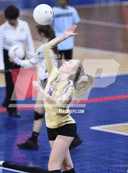 Thumbnail 1 in Silver Creek vs. Holy Family (CHSAA 4A Playoff) photogallery.