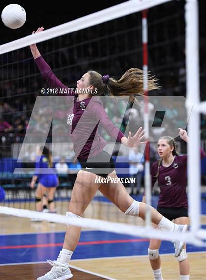 Thumbnail 1 in Silver Creek vs. Holy Family (CHSAA 4A Playoff) photogallery.