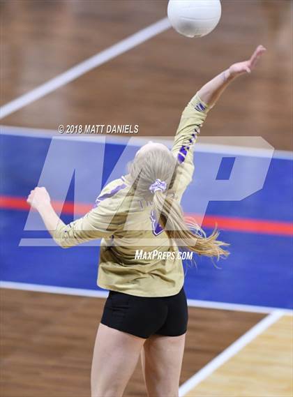 Thumbnail 3 in Silver Creek vs. Holy Family (CHSAA 4A Playoff) photogallery.