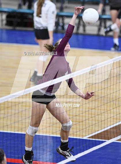 Thumbnail 1 in Silver Creek vs. Holy Family (CHSAA 4A Playoff) photogallery.