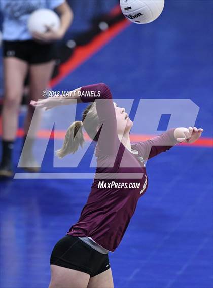 Thumbnail 2 in Silver Creek vs. Holy Family (CHSAA 4A Playoff) photogallery.