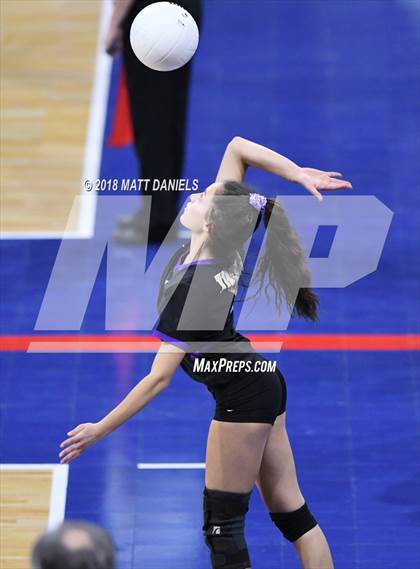 Thumbnail 2 in Silver Creek vs. Holy Family (CHSAA 4A Playoff) photogallery.