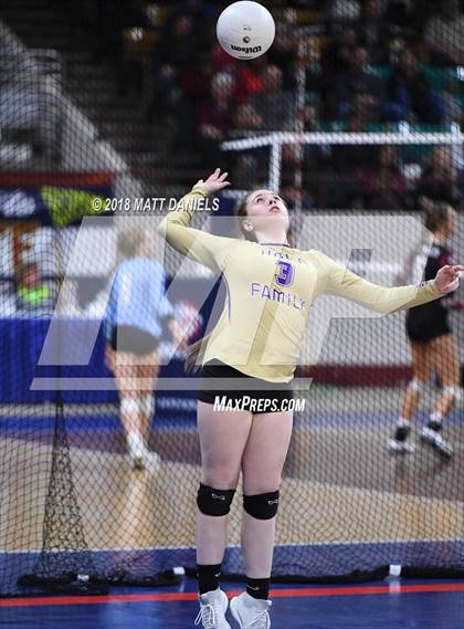 Thumbnail 1 in Silver Creek vs. Holy Family (CHSAA 4A Playoff) photogallery.