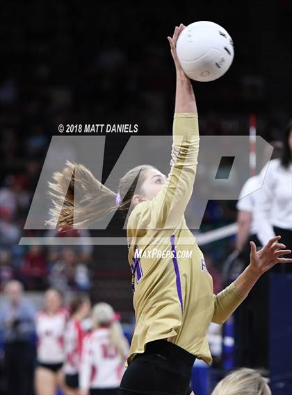 Thumbnail 2 in Silver Creek vs. Holy Family (CHSAA 4A Playoff) photogallery.