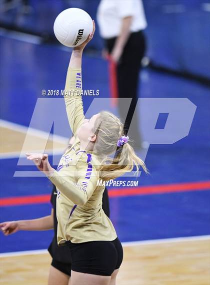 Thumbnail 3 in Silver Creek vs. Holy Family (CHSAA 4A Playoff) photogallery.