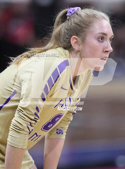 Thumbnail 1 in Silver Creek vs. Holy Family (CHSAA 4A Playoff) photogallery.