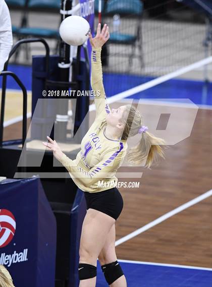 Thumbnail 3 in Silver Creek vs. Holy Family (CHSAA 4A Playoff) photogallery.