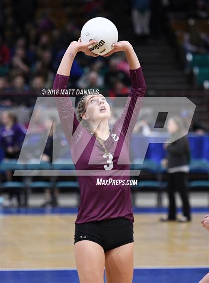 Thumbnail 1 in Silver Creek vs. Holy Family (CHSAA 4A Playoff) photogallery.