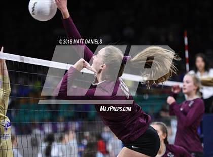 Thumbnail 3 in Silver Creek vs. Holy Family (CHSAA 4A Playoff) photogallery.