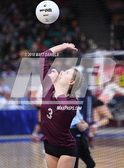 Thumbnail 1 in Silver Creek vs. Holy Family (CHSAA 4A Playoff) photogallery.
