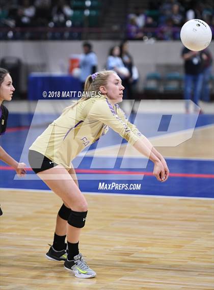 Thumbnail 1 in Silver Creek vs. Holy Family (CHSAA 4A Playoff) photogallery.