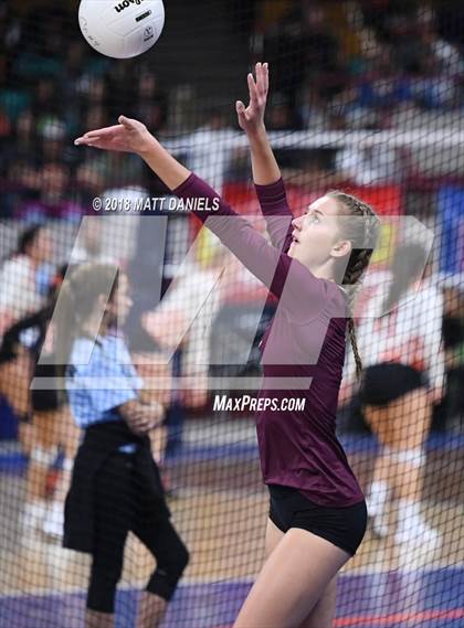 Thumbnail 3 in Silver Creek vs. Holy Family (CHSAA 4A Playoff) photogallery.