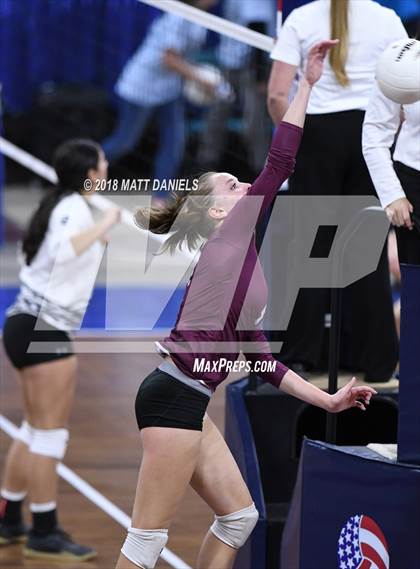 Thumbnail 3 in Silver Creek vs. Holy Family (CHSAA 4A Playoff) photogallery.
