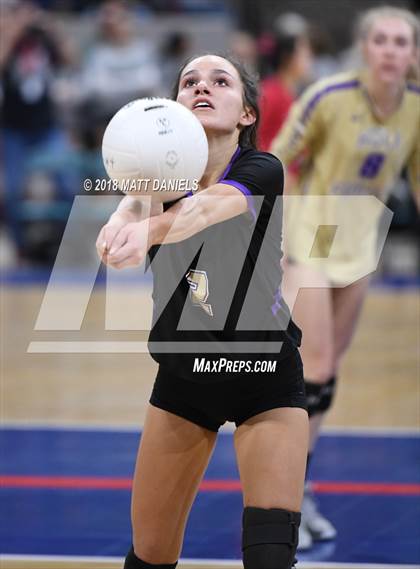 Thumbnail 2 in Silver Creek vs. Holy Family (CHSAA 4A Playoff) photogallery.
