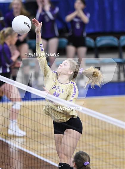 Thumbnail 1 in Silver Creek vs. Holy Family (CHSAA 4A Playoff) photogallery.