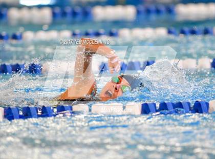 Thumbnail 2 in AAA Championship Diving Meet photogallery.