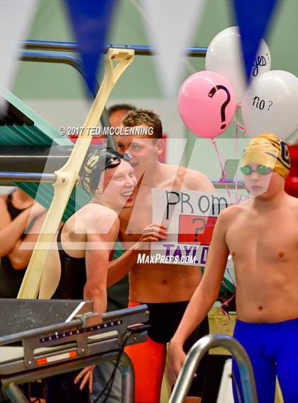 Thumbnail 3 in AAA Championship Diving Meet photogallery.