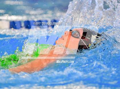 Thumbnail 3 in AAA Championship Diving Meet photogallery.