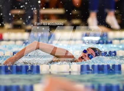 Thumbnail 2 in AAA Championship Diving Meet photogallery.