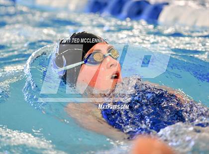 Thumbnail 1 in AAA Championship Diving Meet photogallery.