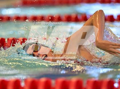 Thumbnail 1 in AAA Championship Diving Meet photogallery.
