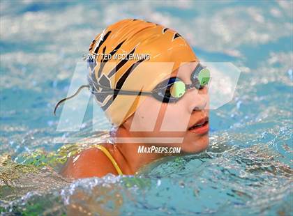 Thumbnail 1 in AAA Championship Diving Meet photogallery.