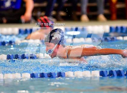 Thumbnail 1 in AAA Championship Diving Meet photogallery.