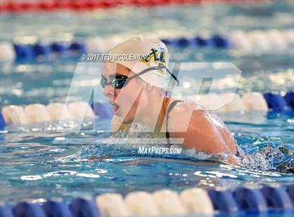 Thumbnail 2 in AAA Championship Diving Meet photogallery.