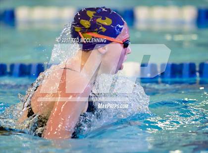 Thumbnail 2 in AAA Championship Diving Meet photogallery.