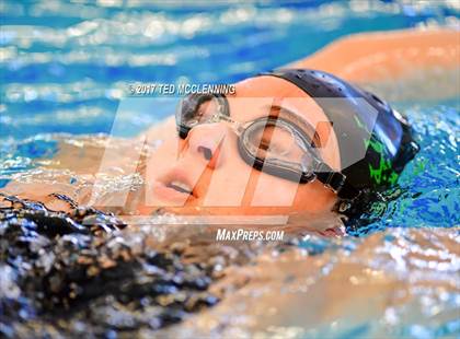 Thumbnail 1 in AAA Championship Diving Meet photogallery.