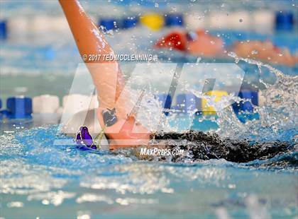 Thumbnail 2 in AAA Championship Diving Meet photogallery.