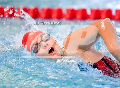 Thumbnail 1 in AAA Championship Diving Meet photogallery.