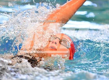 Thumbnail 3 in AAA Championship Diving Meet photogallery.