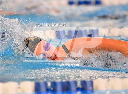 Thumbnail 2 in AAA Championship Diving Meet photogallery.
