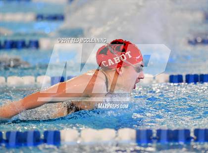 Thumbnail 1 in AAA Championship Diving Meet photogallery.