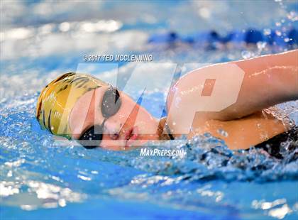Thumbnail 2 in AAA Championship Diving Meet photogallery.