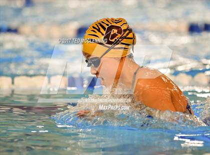 Thumbnail 2 in AAA Championship Diving Meet photogallery.