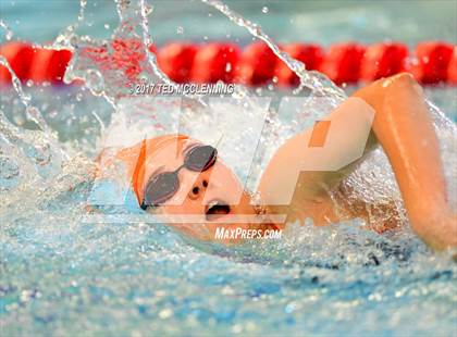 Thumbnail 2 in AAA Championship Diving Meet photogallery.