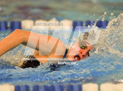 Thumbnail 1 in AAA Championship Diving Meet photogallery.