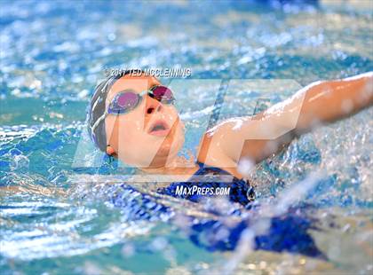 Thumbnail 2 in AAA Championship Diving Meet photogallery.