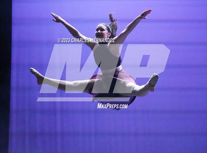 Thumbnail 3 in Strutters Showcase photogallery.