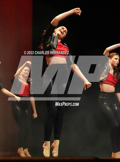Thumbnail 1 in Strutters Showcase photogallery.