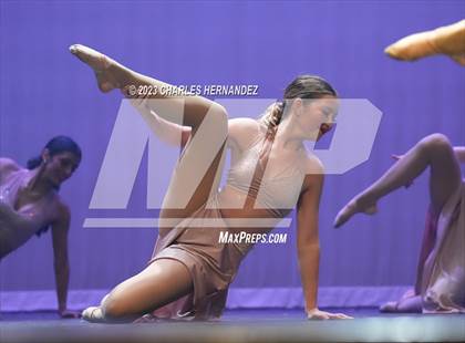 Thumbnail 1 in Strutters Showcase photogallery.