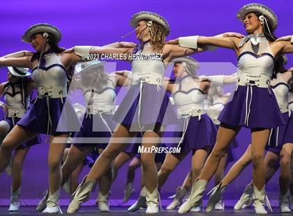 Thumbnail 1 in Strutters Showcase photogallery.