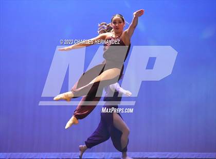Thumbnail 2 in Strutters Showcase photogallery.
