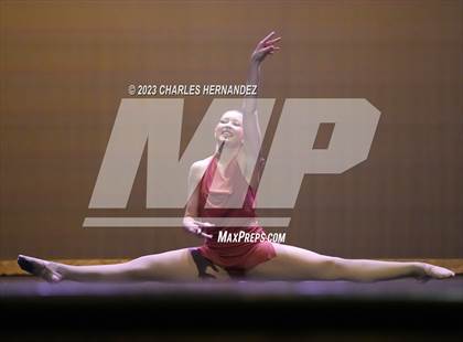 Thumbnail 3 in Strutters Showcase photogallery.