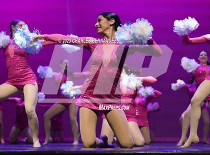 Thumbnail 2 in Strutters Showcase photogallery.