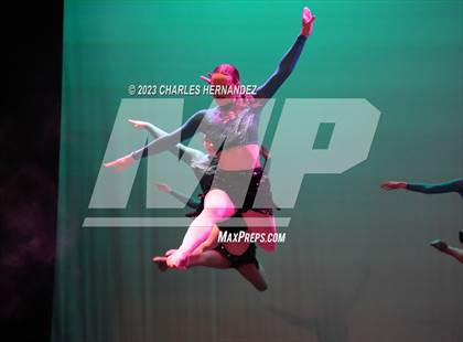 Thumbnail 3 in Strutters Showcase photogallery.
