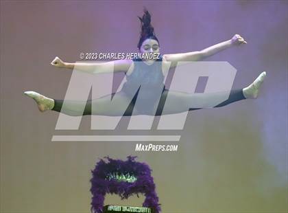 Thumbnail 2 in Strutters Showcase photogallery.